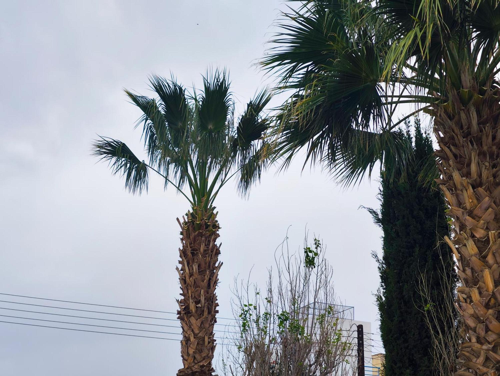 Sunset Green 01 Paphos ภายนอก รูปภาพ