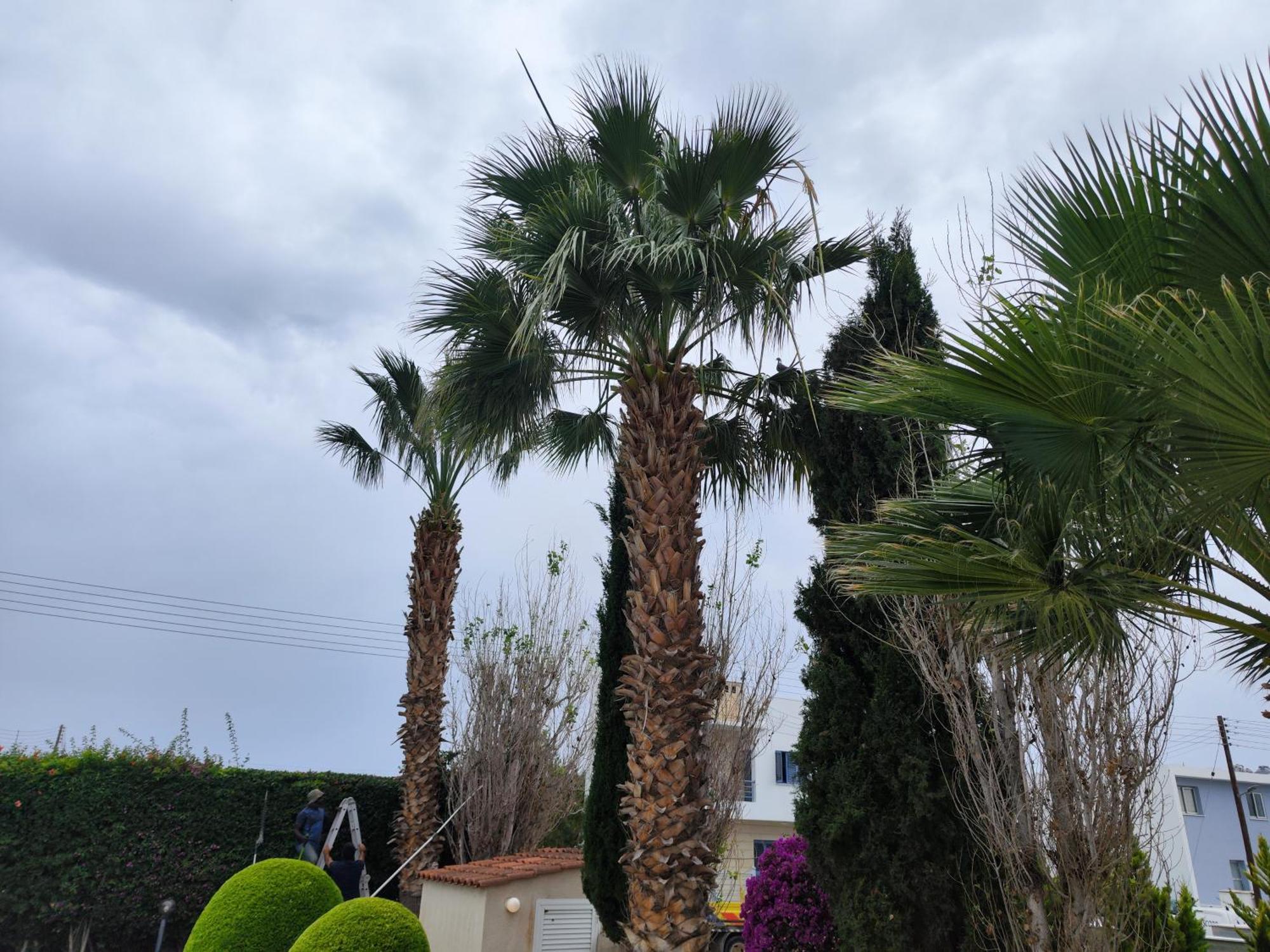 Sunset Green 01 Paphos ภายนอก รูปภาพ